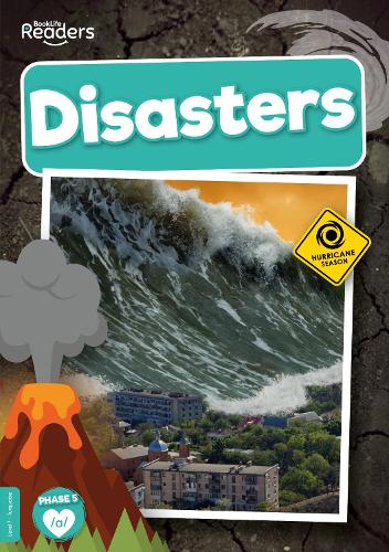 Бумажная книга «Disasters», автор Луиза Нельсон - фото №1