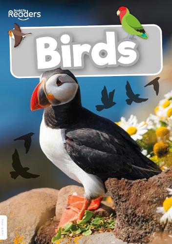 Бумажная книга «Birds», автор Уильям Энтони - фото №1