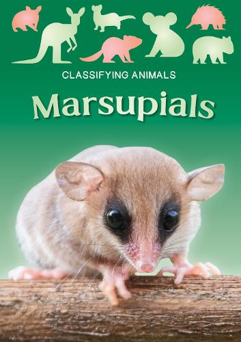 Бумажная книга «Marsupials», автор Мэдлин Тайлер - фото №1