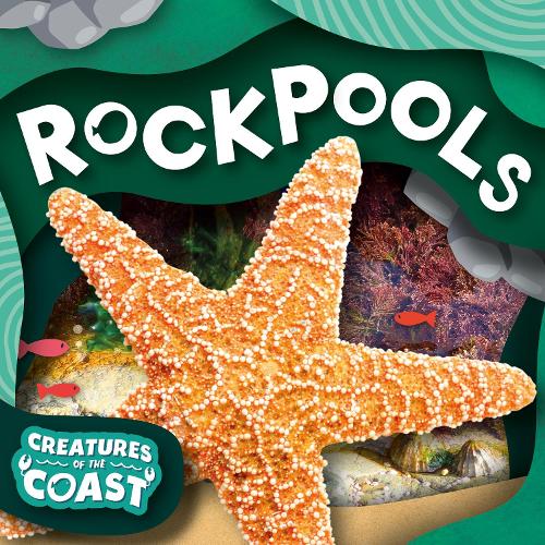 Бумажная книга «Rockpools», автор Ной Лезерленд - фото №1