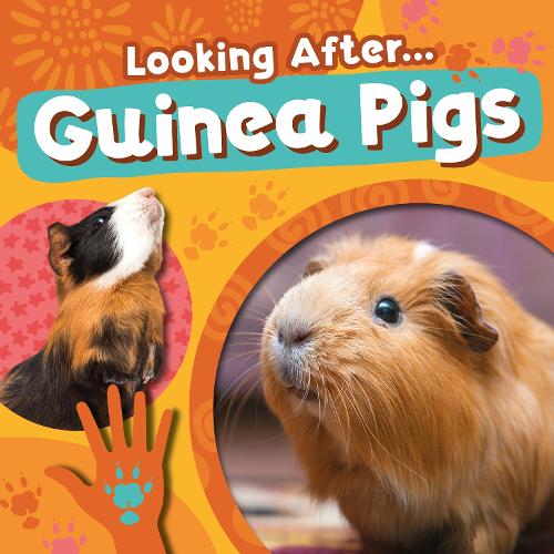 Паперова книга «Guinea Pigs», автор Ребекка Філліпс-Бартлетт - фото №1