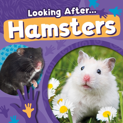 Бумажная книга «Hamsters», автор Ребекка Филлипс-Бартлетт - фото №1