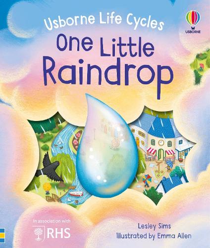 Паперова книга «One Little Raindrop», автор Леслі Сімс - фото №1