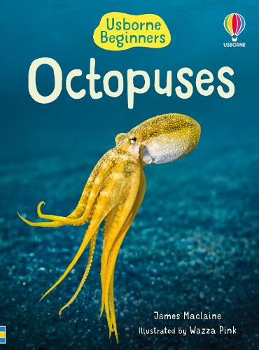 [object Object] «Beginners Octopuses», автор Джеймс Маклейн - фото №1