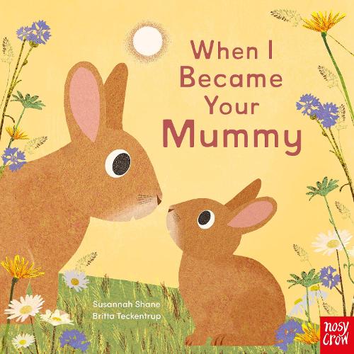 Паперова книга «When I Became Your Mummy», автор Сюзанна Шейн - фото №1
