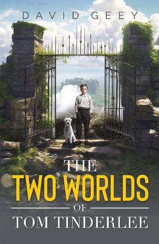 Бумажная книга «The Two Worlds of Tom Tinderlee», автор Дэвид Гий - фото №1