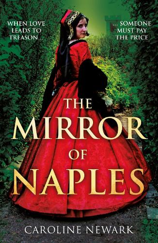 Бумажная книга «The Mirror of Naples», автор Кэролайн Ньюарк - фото №1