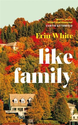 Паперова книга «Like Family», автор Ерін Уайт - фото №1