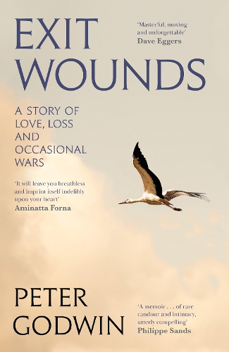 Паперова книга «Exit Wounds: A Story of Love, Loss and Occasional Wars», автор Пітер Годвін - фото №1