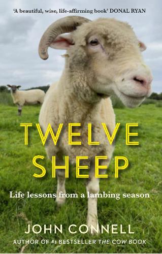 Бумажная книга «Twelve Sheep: Life lessons from a lambing season» - фото №1