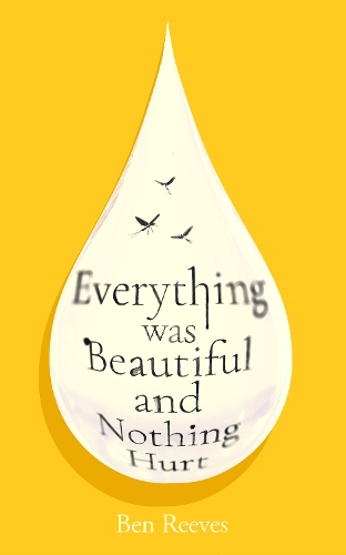 Паперова книга «Everything was Beautiful and Nothing Hurt: ‘Incredible... I guarantee it will completely alter the way you view the world’ Joanna Cannon», автор Бен Рівз - фото №1