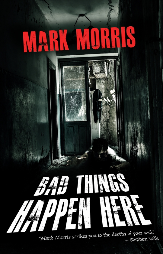 Бумажная книга «Bad Things Happen Here», автор Марк Моррис - фото №1