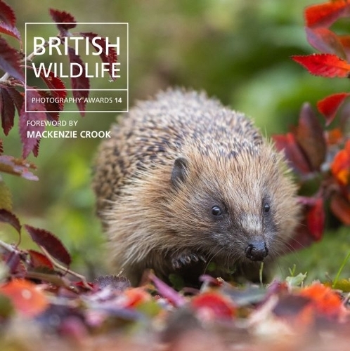 Бумажная книга «British Wildlife Photography Awards 14», автор Уилл Николлс - фото №1