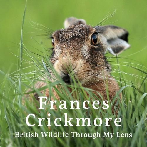Паперова книга «Frances Crickmore - British Wildlife Through My Lens», автор Джейн Расс - фото №1
