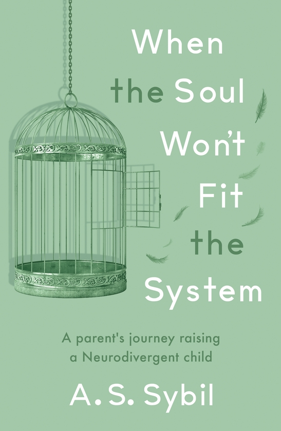 Паперова книга «When the Soul Won’t Fit the System: A parent's journey raising a Neurodivergent child», автор А. С. Сибіл - фото №1