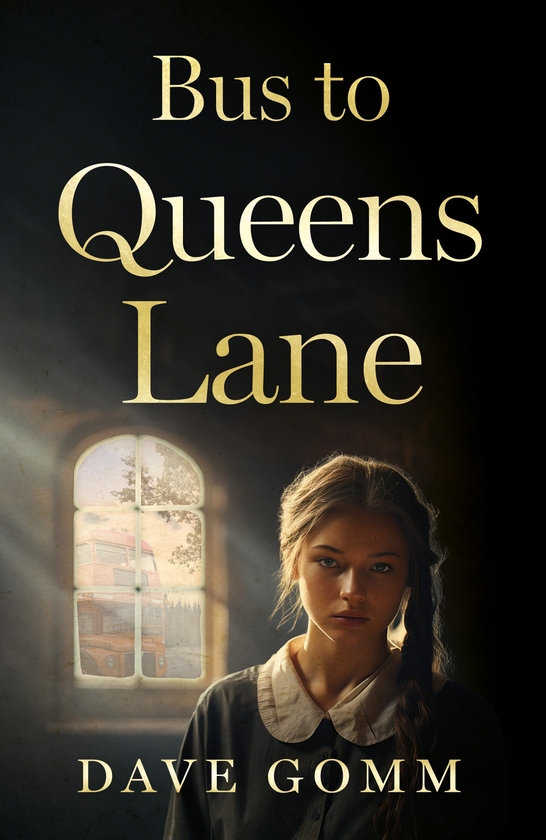 Паперова книга «Bus to Queens Lane», автор Дейв Гомм - фото №1