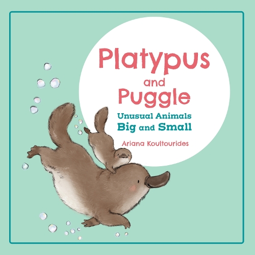 Бумажная книга «Platypus and Puggle: Unusual Animals Big and Small», автор Ариана Културидес - фото №1