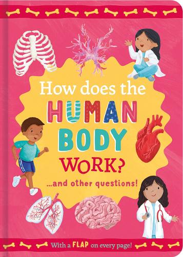 Бумажная книга «How Does the Human Body Work?: and other questions», автор Рэйчел Мосс - фото №1
