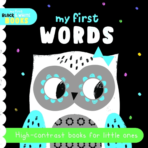 Бумажная книга «My First Words: High-contrast books for little ones» - фото №1