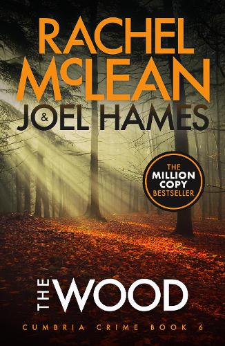Бумажная книга «The Wood», авторов Джоэл Хеймс, Рэйчел Маклин - фото №1