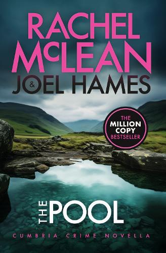 Бумажная книга «The Pool», авторов Джоэл Хеймс, Рэйчел Маклин - фото №1