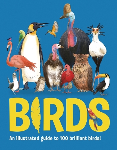 Паперова книга «Birds», автор Еліза Джеффрі - фото №1