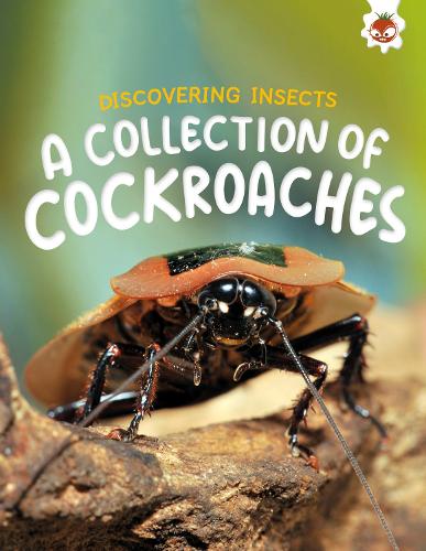 Бумажная книга «Discovering Insects: A Collection of Cockroaches», автор Ребекка Сторм - фото №1