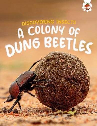 Бумажная книга «Discovering Insects: A Colony of Dung Beetles», автор Ребекка Сторм - фото №1