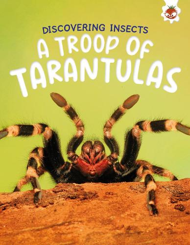 Бумажная книга «Discovering Insects: A Troop of Tarantulas», автор Ребекка Сторм - фото №1
