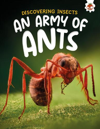 Бумажная книга «Discovering Insects: An Army of Ants», автор Ребекка Сторм - фото №1