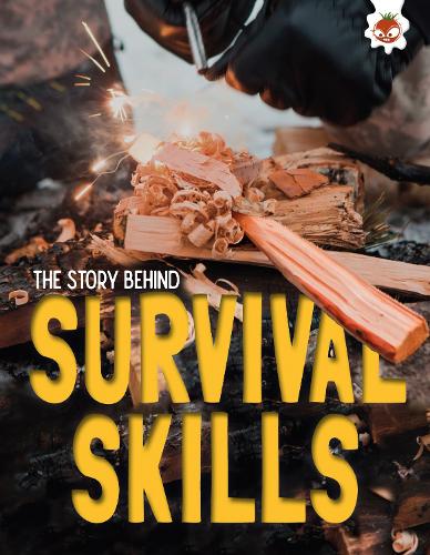 Паперова книга «The Story Behind: Survival Skills», автор Пол Робінсон - фото №1