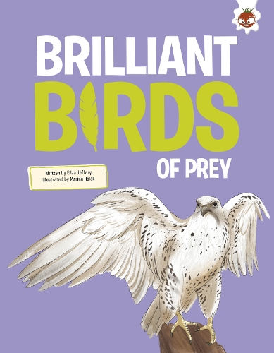 Паперова книга «Brilliant Birds of Prey», автор Розі Роунтрі - фото №1