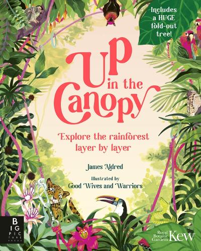 Бумажная книга «Up in the Canopy: Explore the Rainforest, Layer by Layer», автор Джеймс Олдред - фото №1