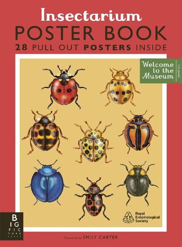 Паперова книга «Insectarium Poster Book», автор Дейв Ґолсон - фото №1