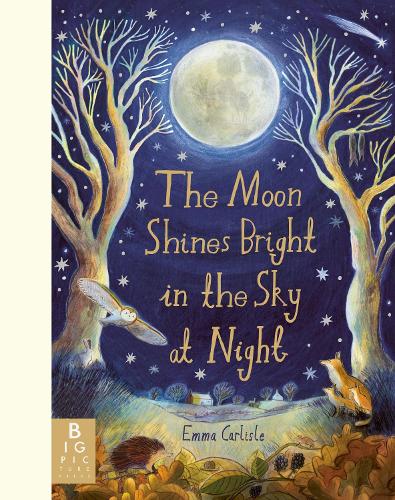 Бумажная книга «The Moon Shines Bright in the Sky at Night: A beautifully illustrated bedtime story filled with comfort, calm and the magic of nighttime», автор Эмма Карлайл - фото №1