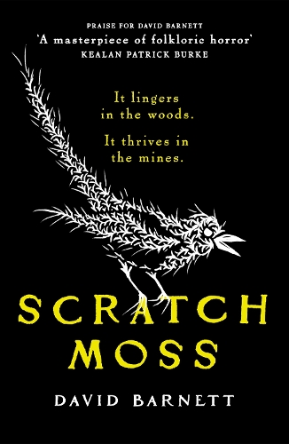 Бумажная книга «Scratch Moss: The most original folk horror novel of the year from the author of Withered Hill», автор Дэвид Барнетт - фото №1