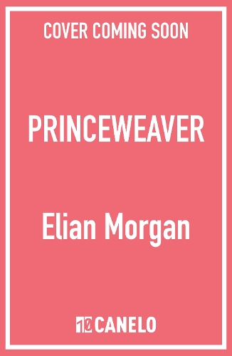 Бумажная книга «Princeweaver: The epic must-read slow-burn queer fantasy romance», автор Элиан Дж. Морган - фото №1