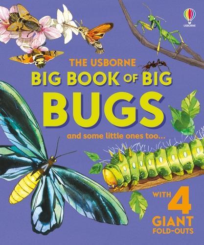 Бумажная книга «Big Book of Big Bugs», автор Эмили Боун - фото №1