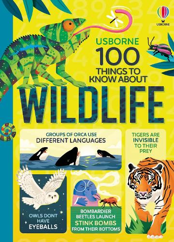Бумажная книга «100 Things to Know About Wildlife», авторов Элис Джеймс, Роуз Холл, Виктория Уильямс - фото №1