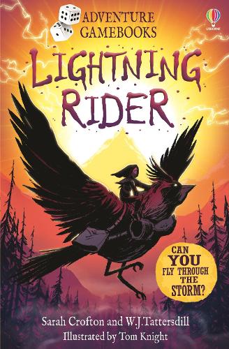 Бумажная книга «Lightning Rider», авторов Сара Крофтон, У. Дж. Тэттерсдил - фото №1
