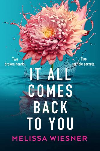 Paper book «It All Comes Back to You: A totally emotional and gripping page-turner», author Мелисса Визнер / Melissa Wiesner / Меліса Візнер /  - фото №1