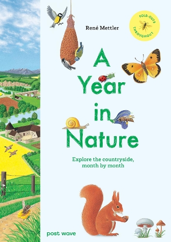 Бумажная книга «A Year in Nature: Explore the Countryside, Month by Month», автор Рене Меттлер - фото №1