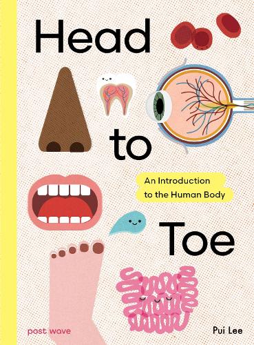 Бумажная книга «Head to Toe: An Introduction to the Human Body», автор Пуи Ли - фото №1