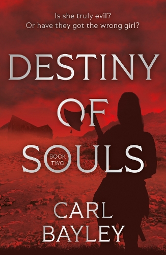 Бумажная книга «Destiny of Souls», автор Карл Бэйли - фото №1