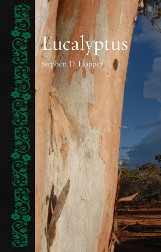 Бумажная книга «Eucalyptus», автор Стивен Д. Хоппер - фото №1