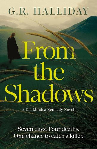 Бумажная книга «From the Shadows: Soon to be a Major ITV Drama», автор Г. Р. Холлидей - фото №1