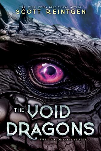 Бумажная книга «The Void Dragons», автор Скотт Рейнтген - фото №1
