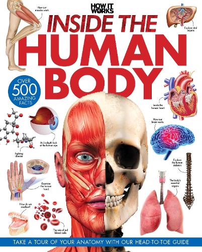 Paper book «Inside the Human Body: A Complete Guide to How We Work», author Future Publishing - фото №1