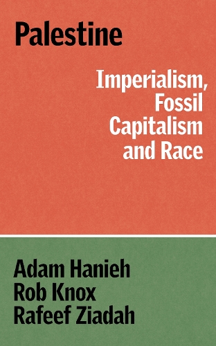 Бумажная книга «Resisting Erasure: Capital, Imperialism and Race in Palestine», авторов Адам Ханих, Рафиф Зиадах - фото №1