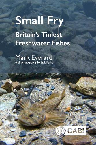 Паперова книга «Small Fry: Britain's Tiniest Freshwater Fishes», автор Марк Еверард - фото №1